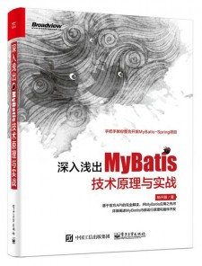 深入浅出MyBatis技术原理与实战 PDF 下载