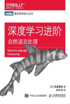 深度学习进阶：自然语言处理 PDF 下载