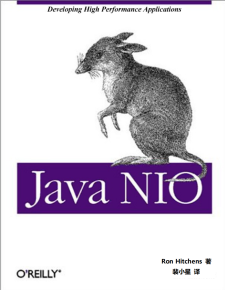 Java NIO 中文版 PDF 下载