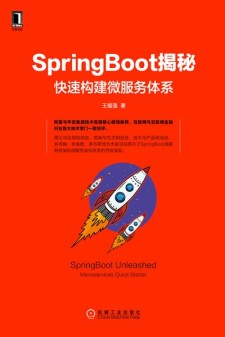 SpringBoot揭秘：快速构建微服务体系 PDF 下载