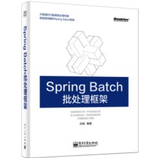 Spring Batch 批处理框架 PDF下载