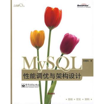 MySQL性能调优与架构设计 PDF 下载-第2张图片