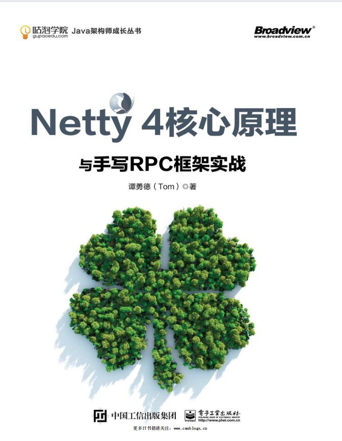 Netty 4核心原理与手写RPC框架实战 PDF 下载-第2张图片