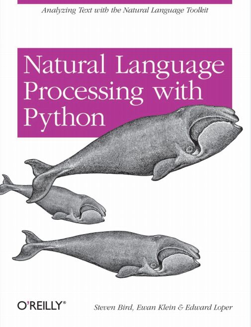 Natural Language Processing with Python PDF 下载-第2张图片