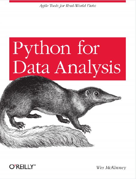 Python for Data Analysis PDF 下载-第2张图片