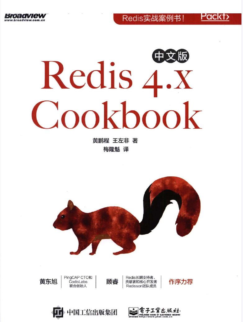 Redis 4.x Cookbook中文版 PDF 下载-第2张图片