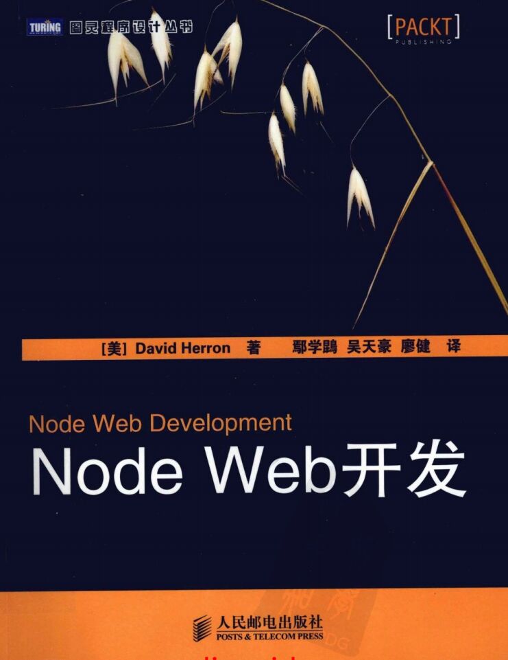 Node Web开发 PDF 下载-第2张图片